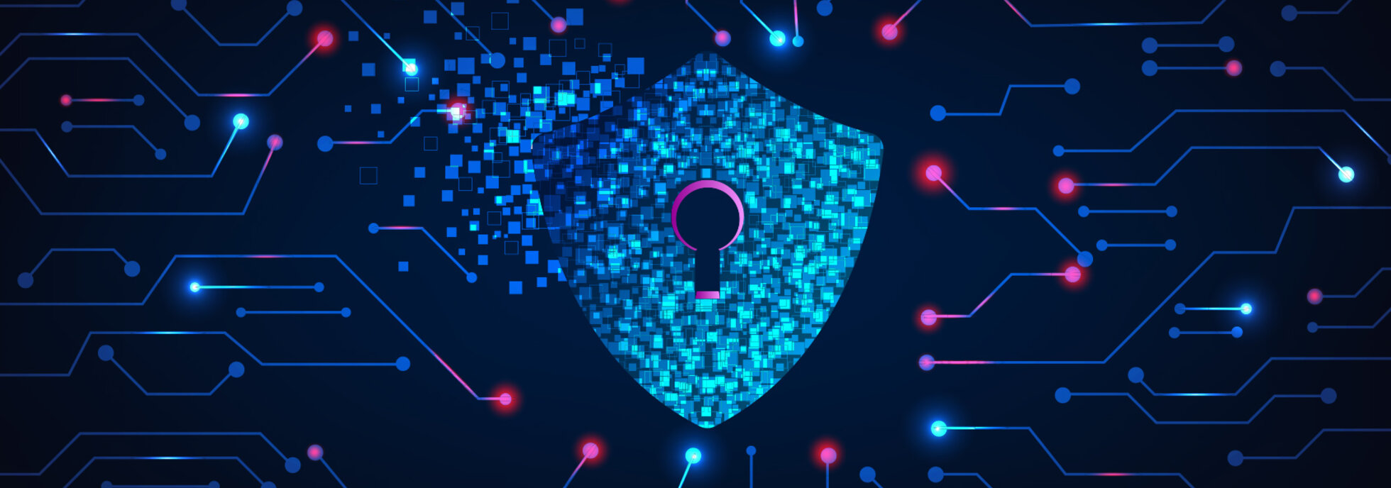 Vulnerability Apache log4j
